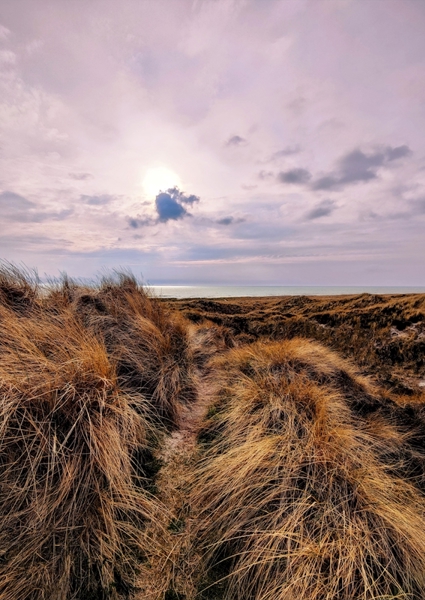 Marie Lindberg Printler