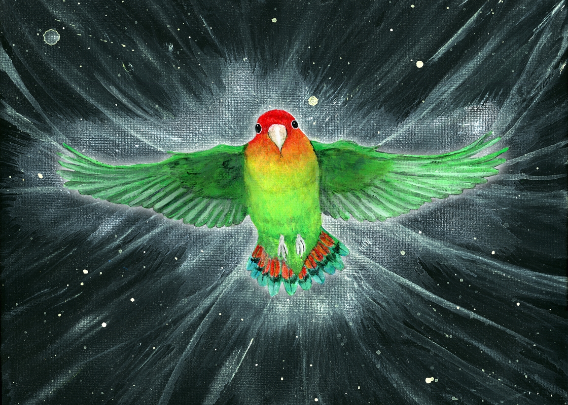 Fliegender Papagei Acrylschale Poster von Bianca Wisseloo | Printler