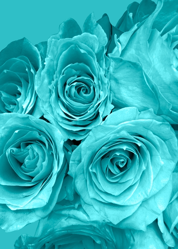 Blumig - Poster Rose Blue von Annica Printler Love | Andersson