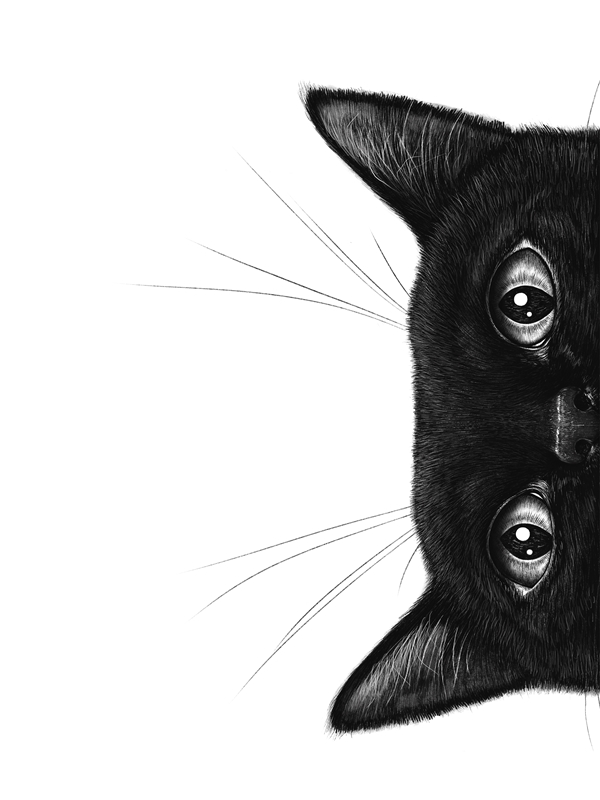 Stampa “Gatto nero” di Valeriya Korenkova