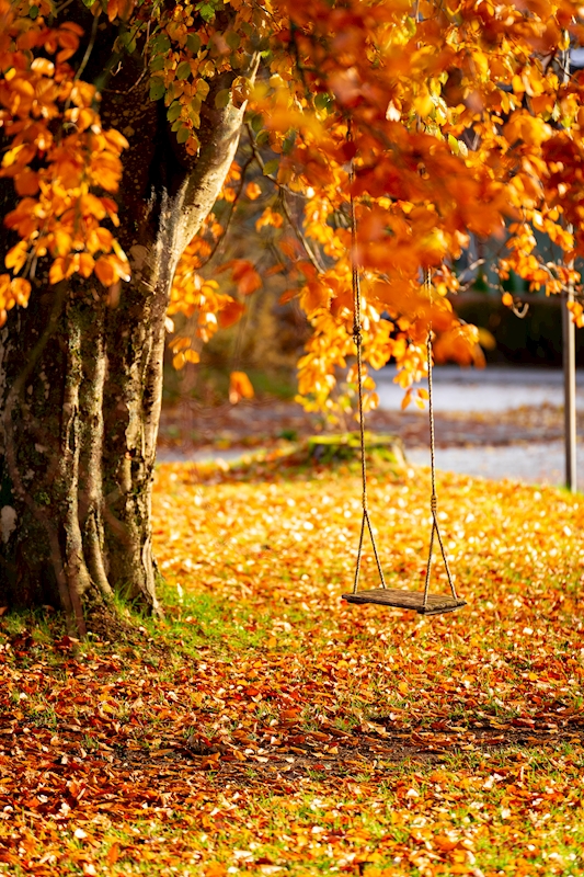 Autumn swing posters & prints by Ludvig Björk - Printler