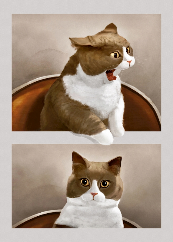 Crying cat meme | Metal Print